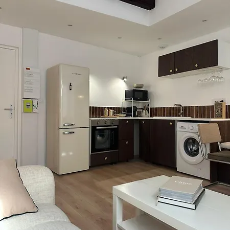 Le Petit Palais, En Hyper Centre De Apartament *